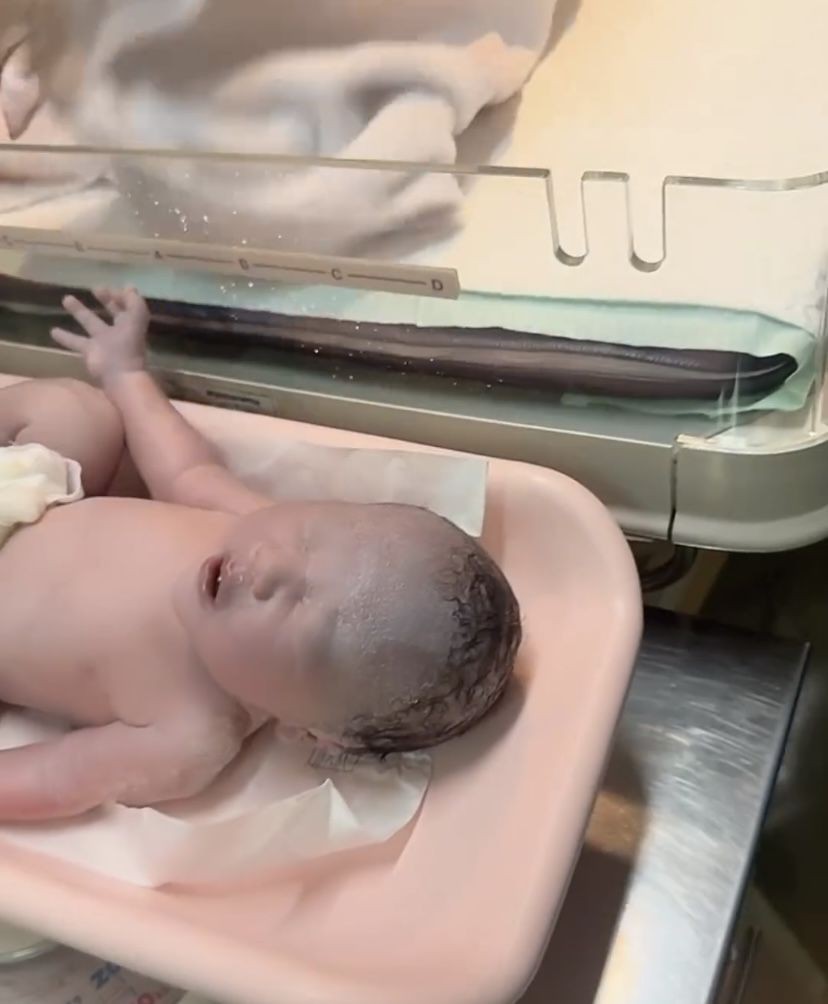 Momen Charly van Houten sambut kelahiran anak ketiganya © 2023 brilio.net