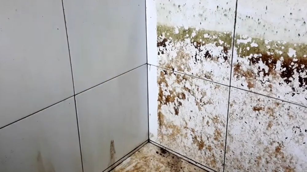 Tanpa digosok kuat, ini cara bersihkan lumut di bak kamar mandi cukup tambah 1 bahan dapur