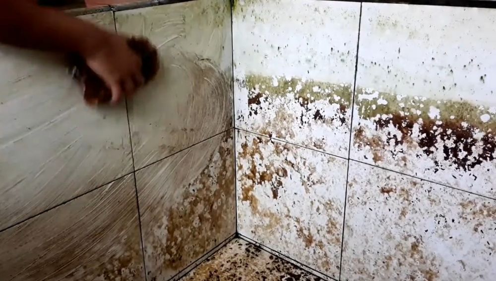 Tanpa digosok kuat, ini cara bersihkan lumut di bak kamar mandi cukup tambah 1 bahan dapur