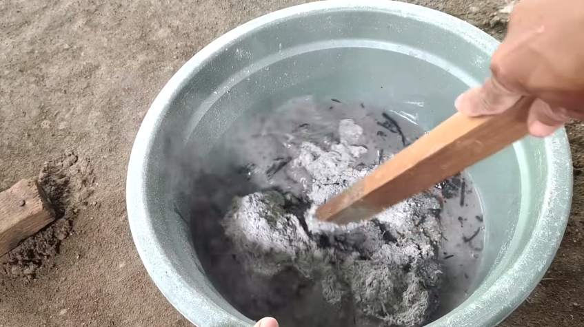 Tanpa cairan kimia, cara merawat tanaman cabai agar tak layu di musim hujan cukup tambah 1 ampas dapur