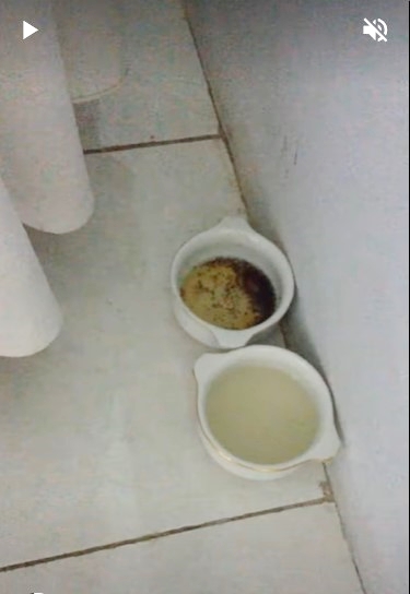 Tanpa kapur barus atau minyak goreng, ini trik mengusir dan mencegah semut datang ke meja makan