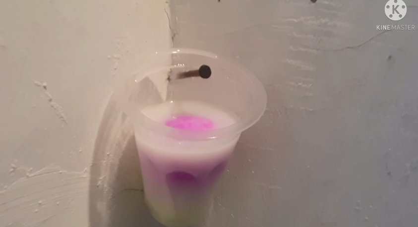 Cuma tambah 2 bahan dapur, ini trik hilangkan kerak di lantai kamar mandi agar wangi tahan lama