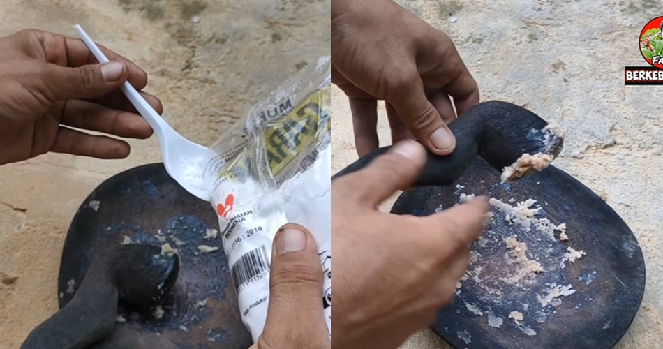 Tanpa micin, ini trik membasmi hama pacet dan siput pada tanaman kangkung cukup pakai 2 bahan dapur