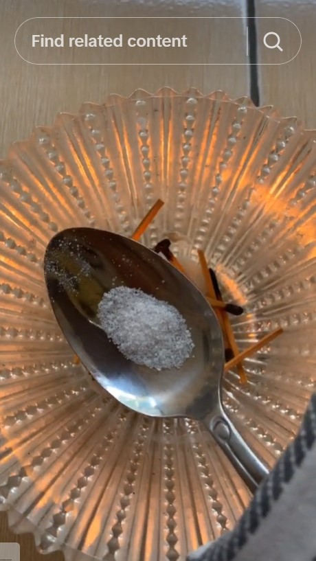 Aksi pria mencoba bakar garam ini bikin tercengang penasaran, endingnya justru nggak habis pikir