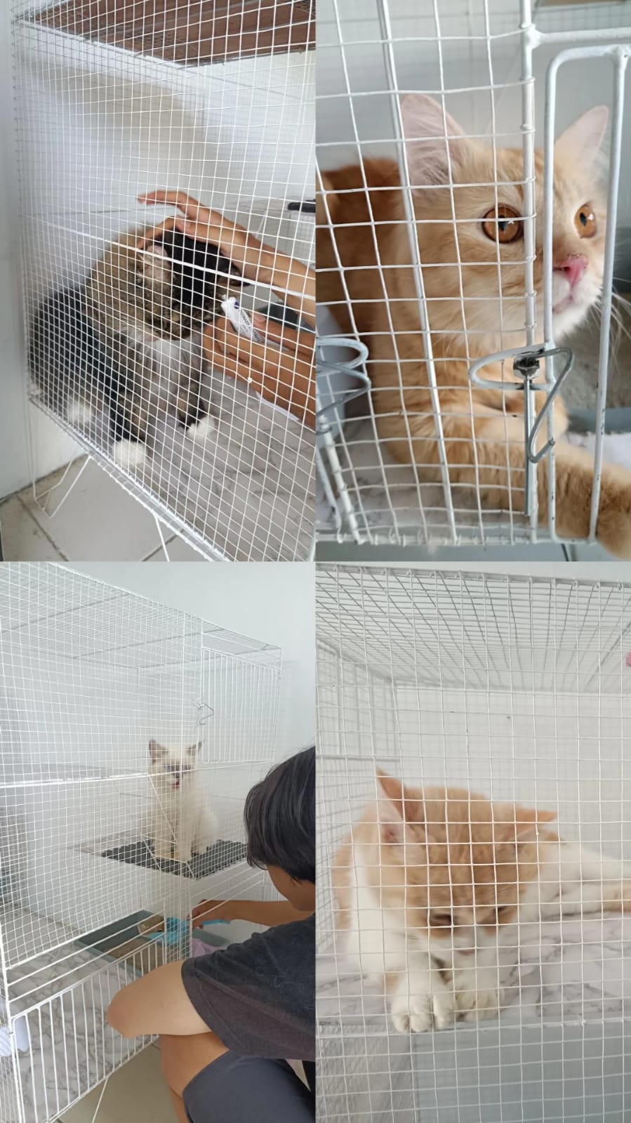 Bingung cari kerja © 2023 brilio.net Bingung cari kerja © 2023 brilio.net