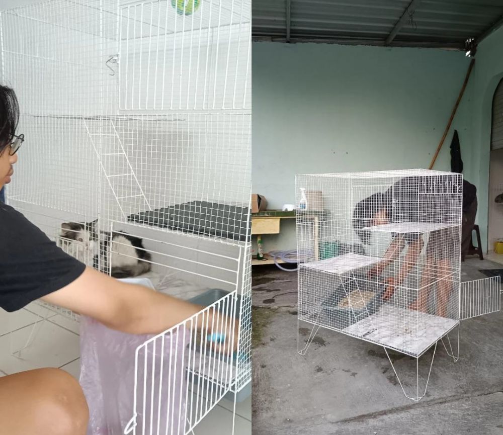 Bingung cari kerja © 2023 brilio.net Bingung cari kerja © 2023 brilio.net