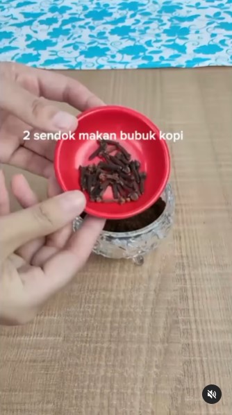 Tanpa jeruk nipis, ini trik usir nyamuk dan lalat sekaligus bikin ruangan wangi dengan 2 bahan dapur
