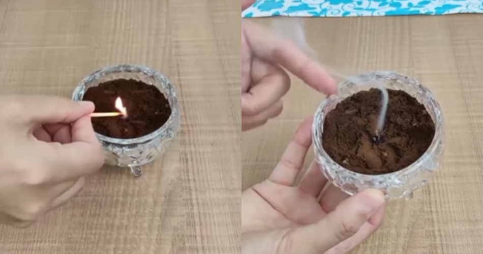 Tanpa jeruk nipis, ini trik usir nyamuk dan lalat sekaligus bikin ruangan wangi dengan 2 bahan dapur