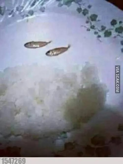 makan ikan mahal berbagai sumber