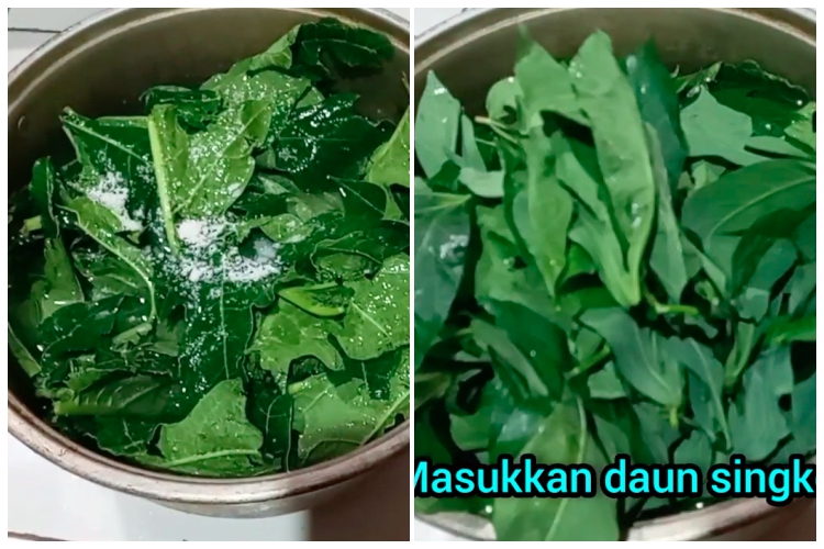 Tanpa tanah liat atau baking soda, ini trik ampuh hilangkan rasa pahit daun pepaya pakai 1 jenis daun