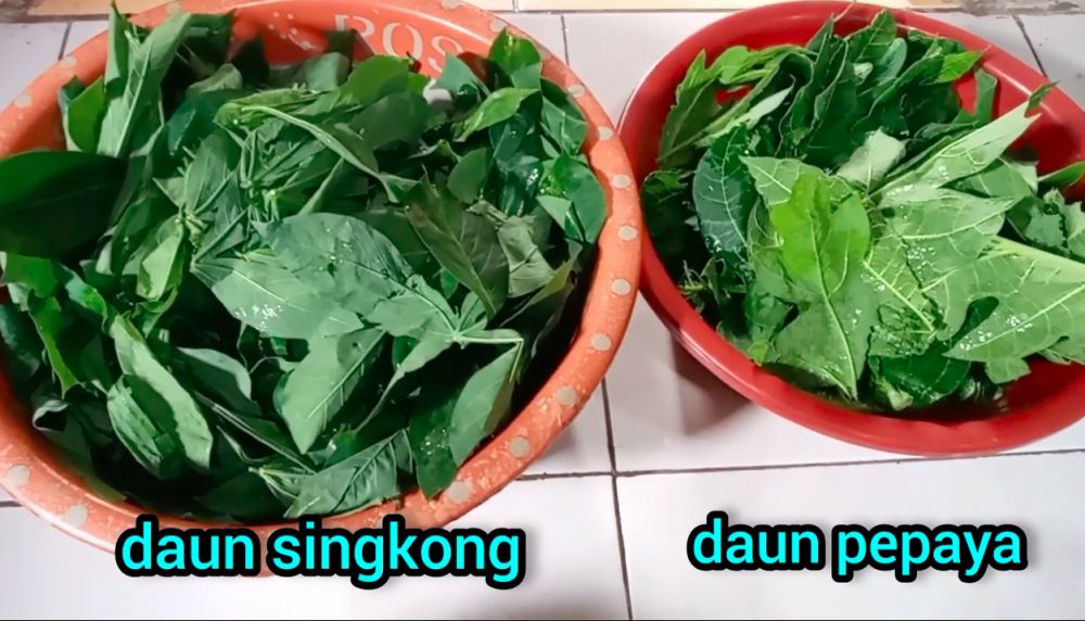 Tanpa tanah liat atau baking soda, ini trik ampuh hilangkan rasa pahit daun pepaya pakai 1 jenis daun