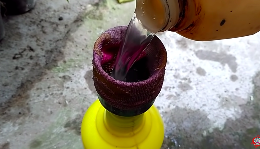 Bukan pakai sabun cuci piring, ini cara cepat basmi hama di tanaman sawi cuma pakai 1 bumbu dapur