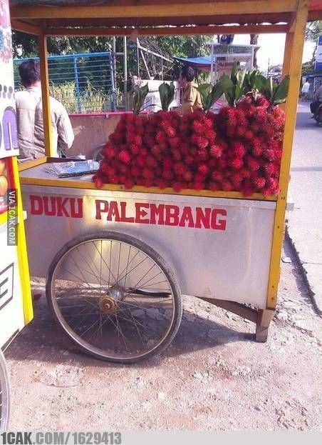 gerobak ngeselin berbagai sumber gerobak ngeselin berbagai sumber