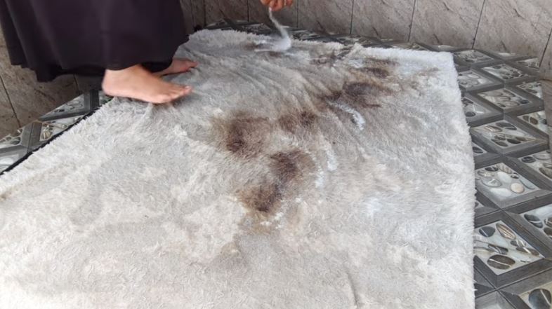 Tanpa detergen, ini cara bersihkan noda di karpet agar hilang tak tersisa pakai 2 bahan dapur