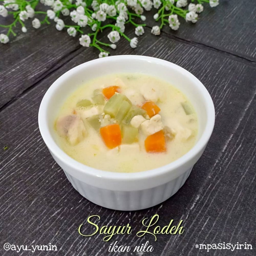 20 Resep sayur lodeh terong spesial, enak, praktis, dan sederhana