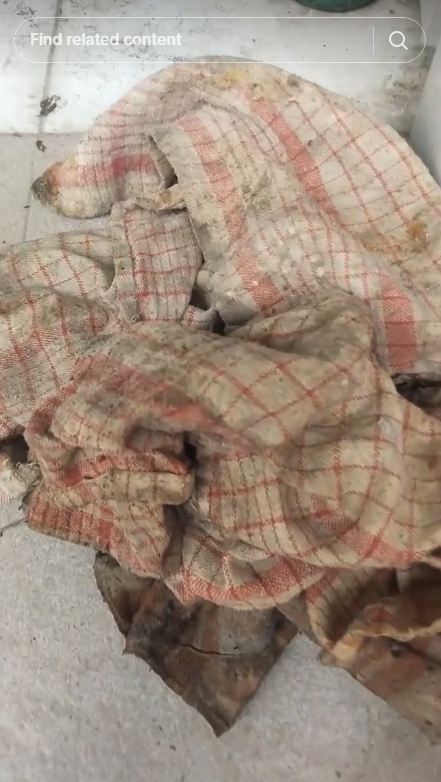 Tanpa sitrun atau pemutih, ini trik cuci serbet dekil agar wangi dan bersih kesat pakai 1 bahan dapur