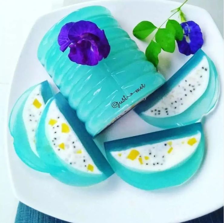 20 Resep puding aneka bahan, mudah, segar, dan sehat