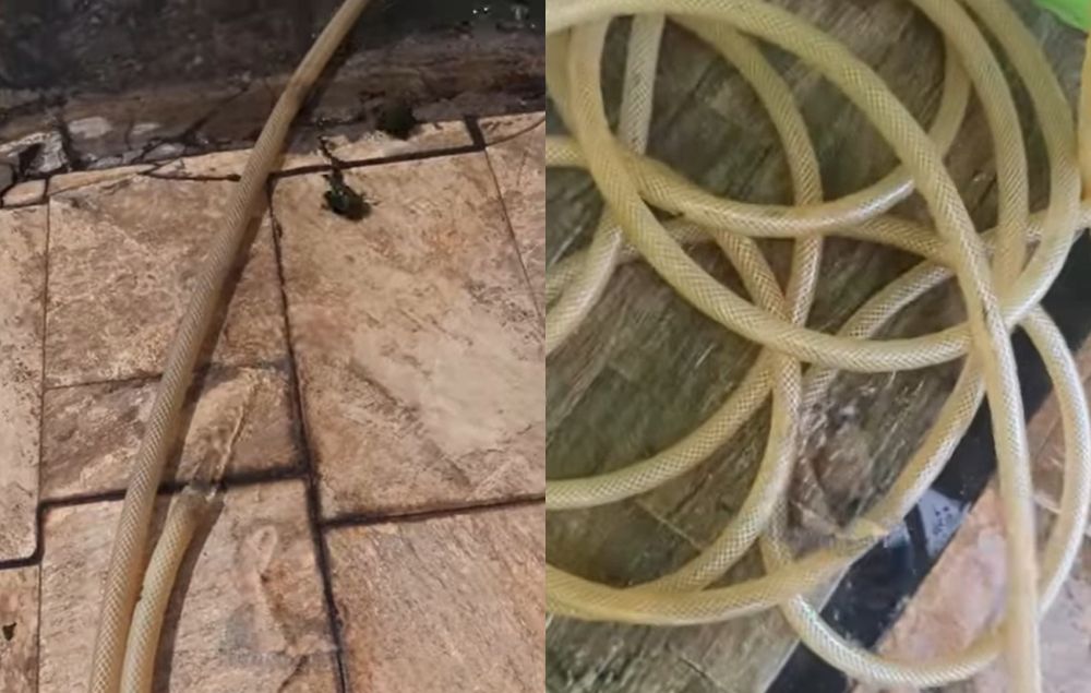 Trik mudah bersihkan noda lumut di selang air, cuma andalkan 1 alat dapur seharga Rp5.000