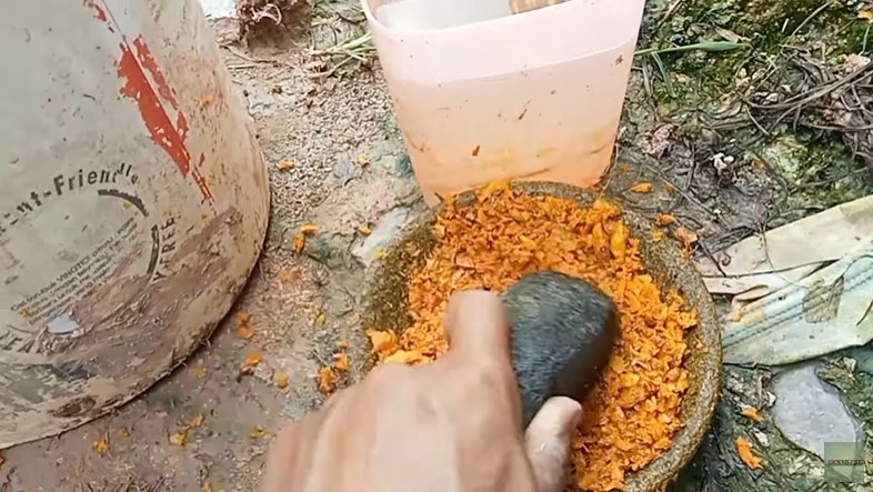 Tanpa micin atau garam, ini trik merawat tanaman cabai agar berbuah lebat cukup tambah 1 bumbu dapur