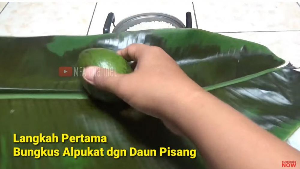 Tanpa diperam beras berhari-hari, ini cara mematangkan alpukat dalam 10 menit agar mulus dan tak hitam