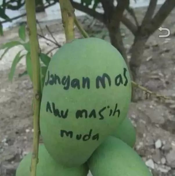 tulisan biar nggak dicuri berbagai sumber