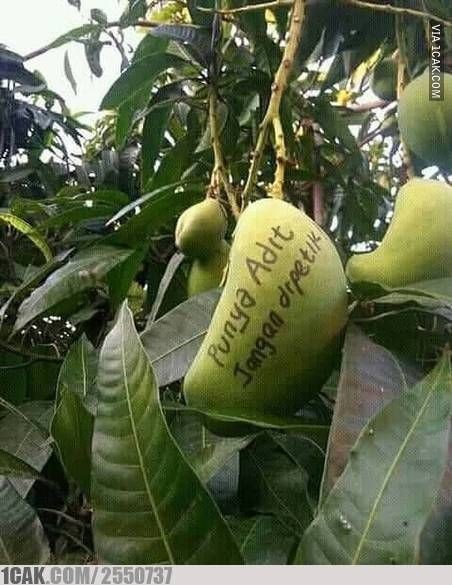 tulisan biar nggak dicuri berbagai sumber