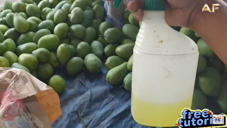 Bukan dibungkus koran atau dikarbit, ini trik cepat mematangkan buah mangga pakai 1 jenis minuman