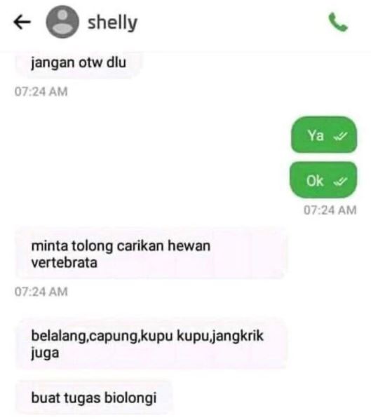 Chat lucu driver ojek online dapat kerjaan sampingan freepik.com