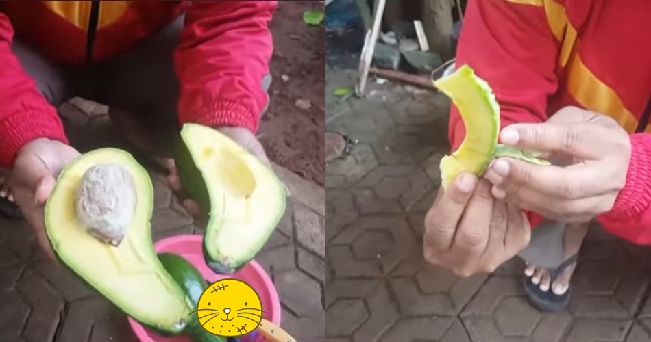 Cara mematangkan alpukat tanpa beras, daging buah mulus dan tak busuk meski pakai 1 bahan sederhana
