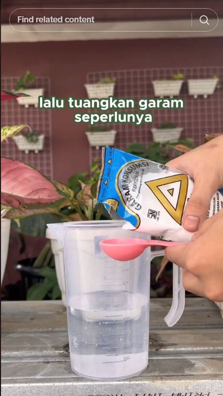 Pakai 1 bumbu dapur, trik basmi hama di pohon jeruk nipis ini ampuh tanpa sabun cuci piring