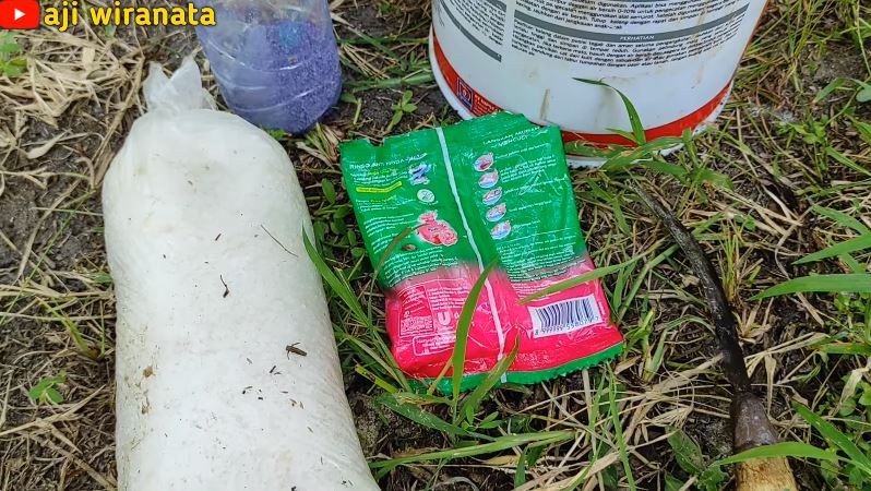 Cuma modal Rp2.000, ini cara mengatasi daun pisang layu dan menguning pakai 1 bahan dapur