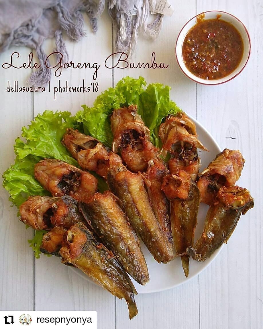 13 Resep olahan ikan lele berbagai bumbu, enak, bergizi, dan menggugah selera