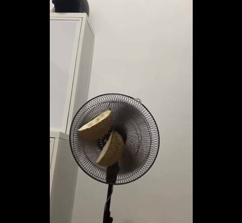 cara orang pasang pengharum ruangan pada kipas angin Berbagai sumber