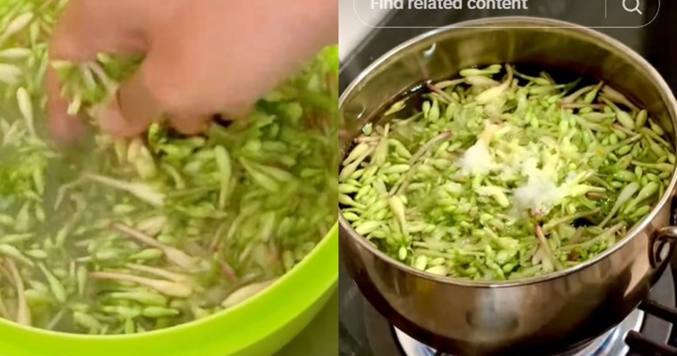 Bukan asam jawa atau daun jambu, ini trik hilangkan rasa pahit bunga pepaya pakai 1 bumbu dapur