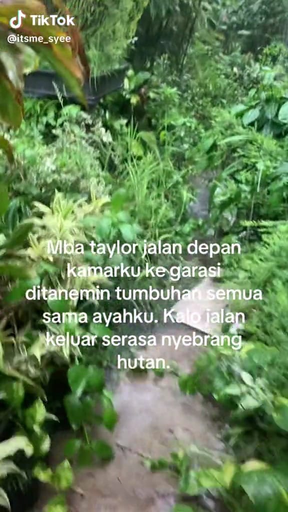 Keluar kamar berasa masuk hutan © TikTok