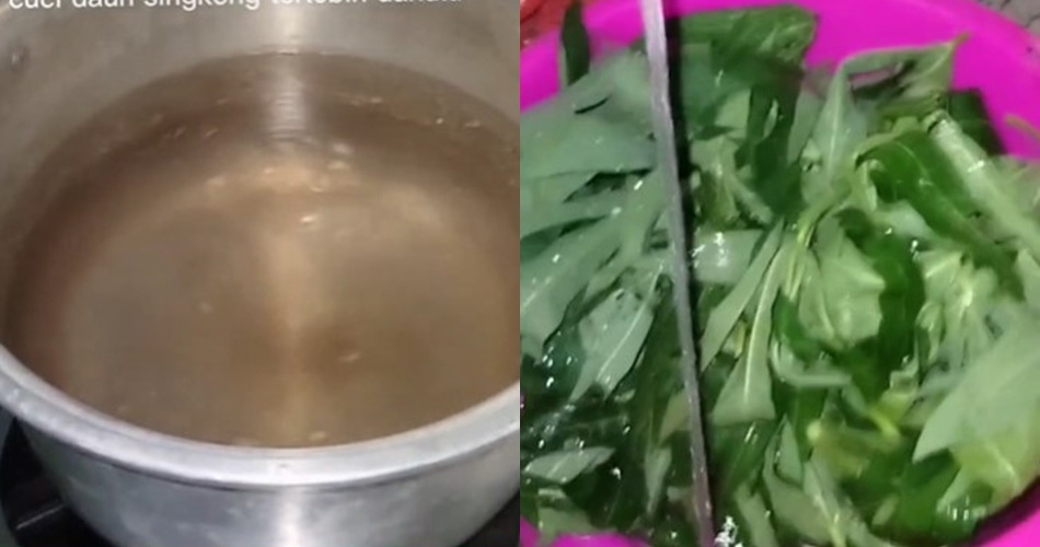 Tetap hijau dan empuk meski tanpa baking soda, ini trik merebus daun singkong pakai 2 bahan dapur
