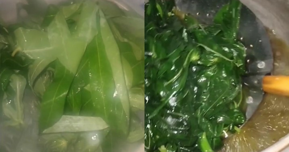 Tetap hijau dan empuk meski tanpa baking soda, ini trik merebus daun singkong pakai 2 bahan dapur