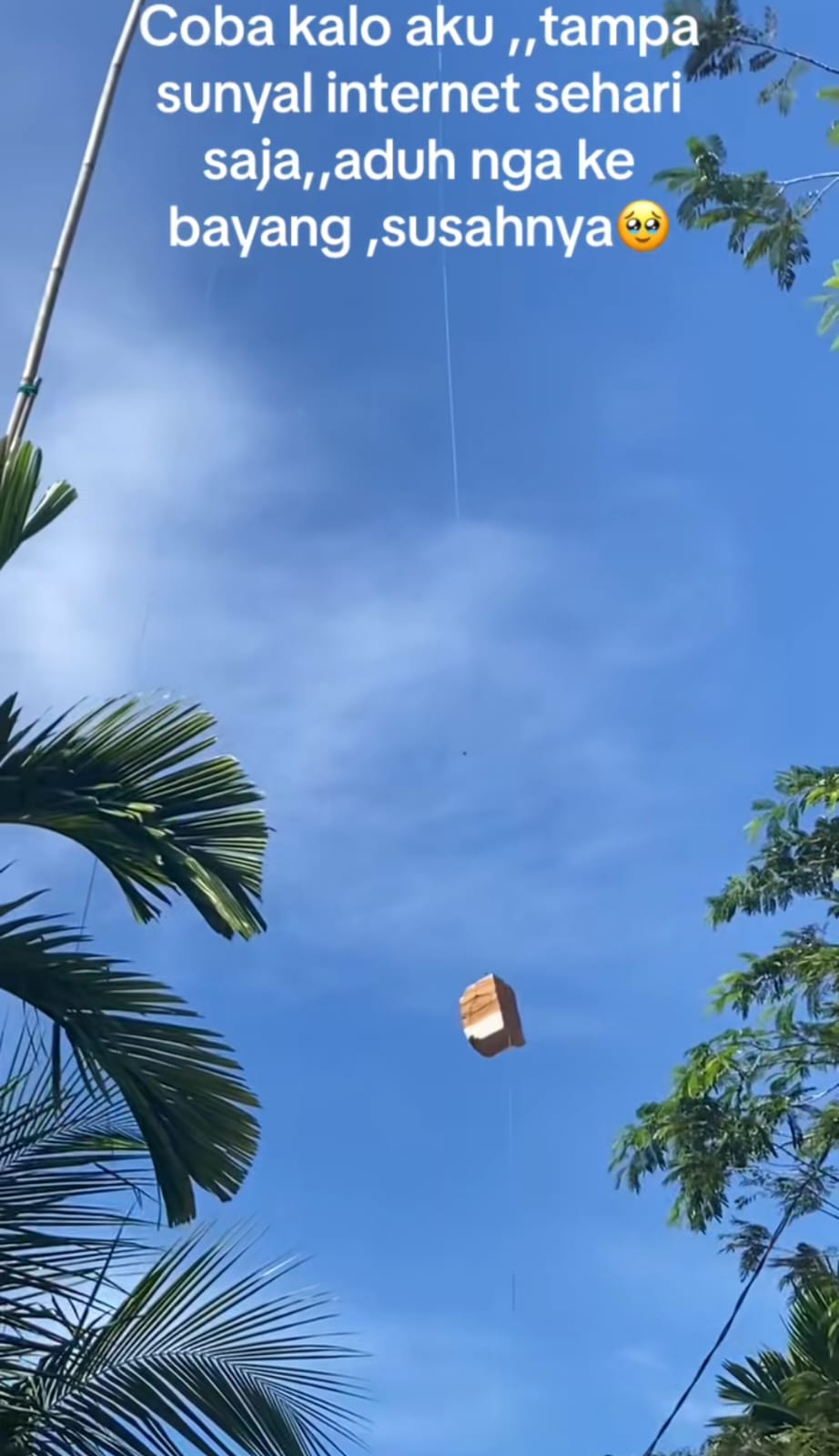 susah sinyal © TikTok susah sinyal © TikTok