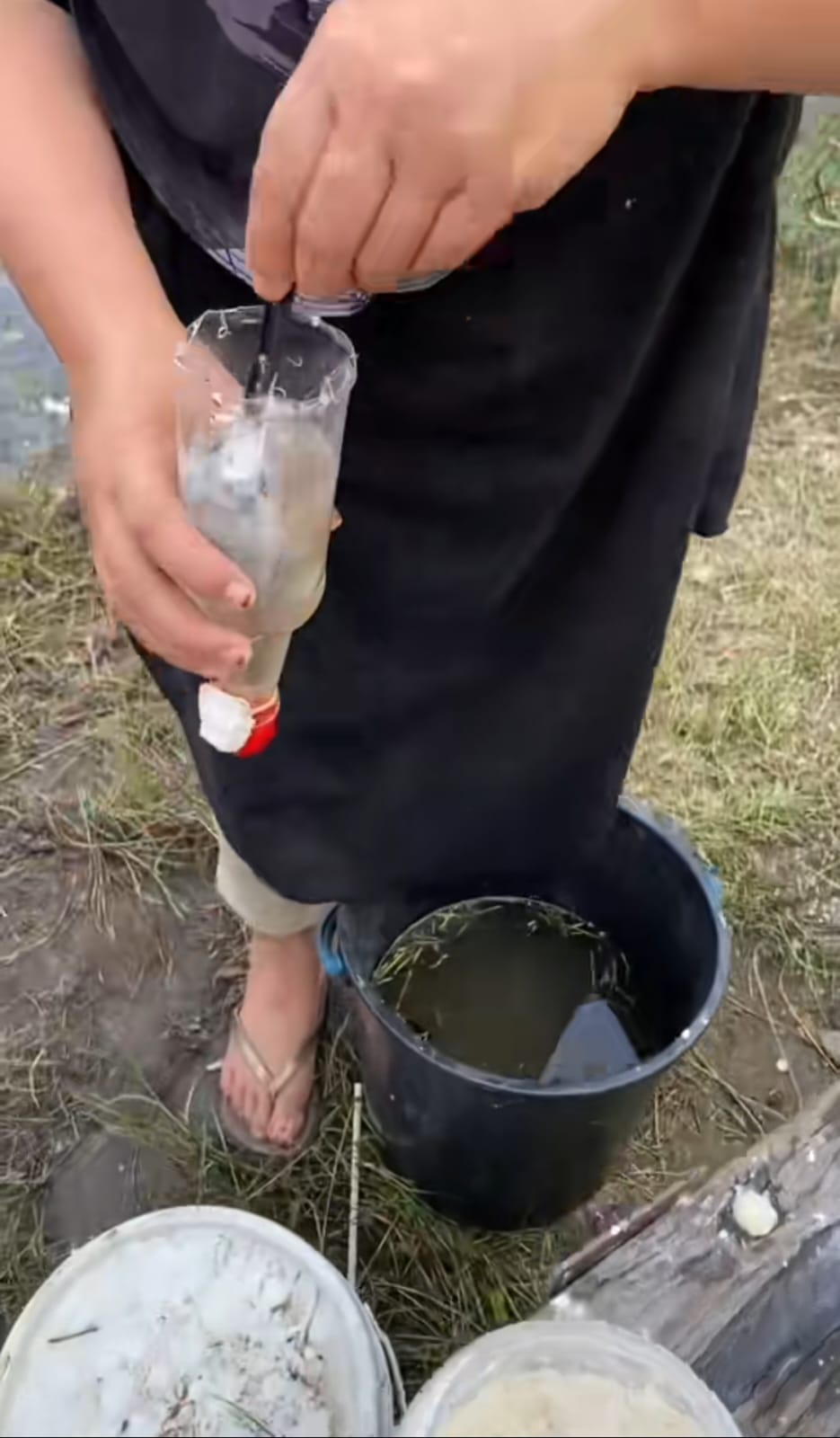 mancing pakai botol © TikTok mancing pakai botol © TikTok