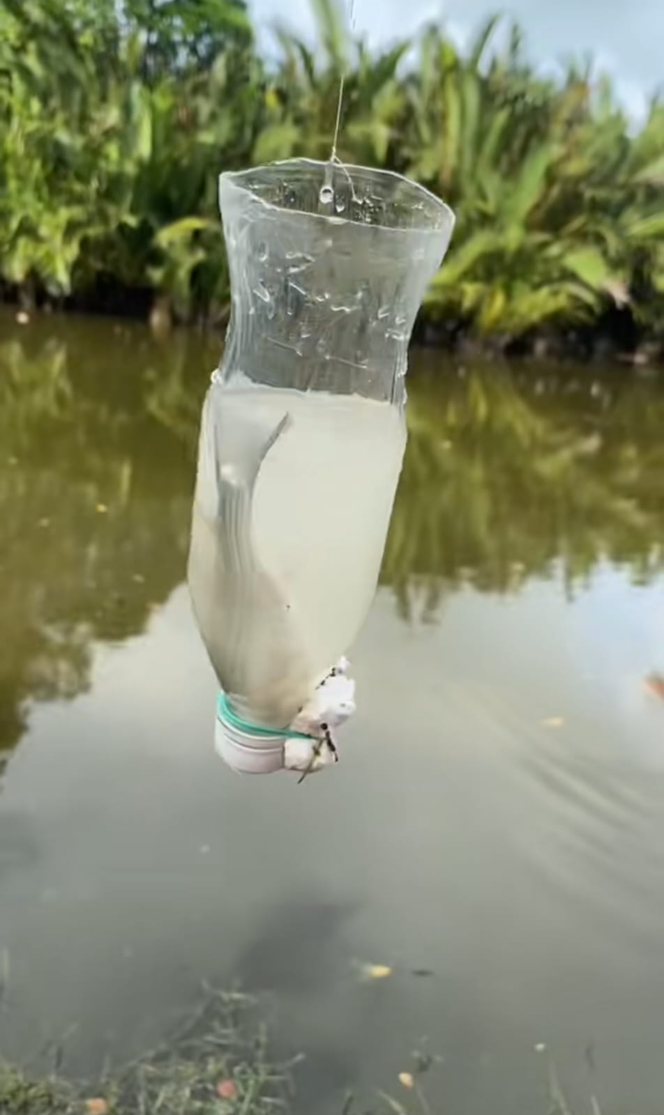 mancing pakai botol © TikTok mancing pakai botol © TikTok