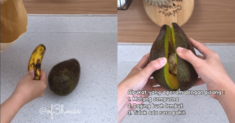 Bukan diperam beras, ini trik mematangkan alpukat cukup disimpan bareng 1 jenis buah