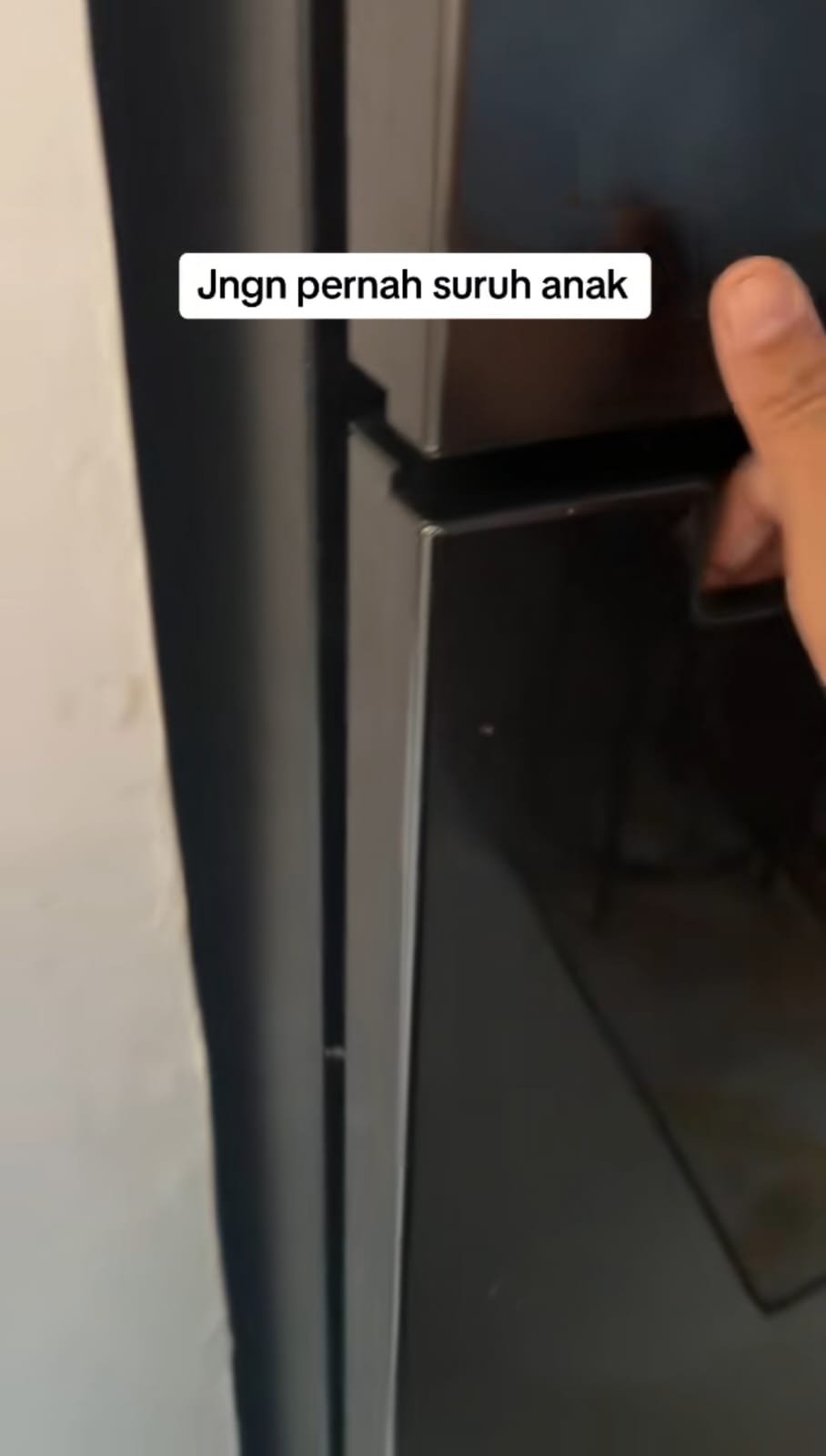 sayur di freezer © TikTok