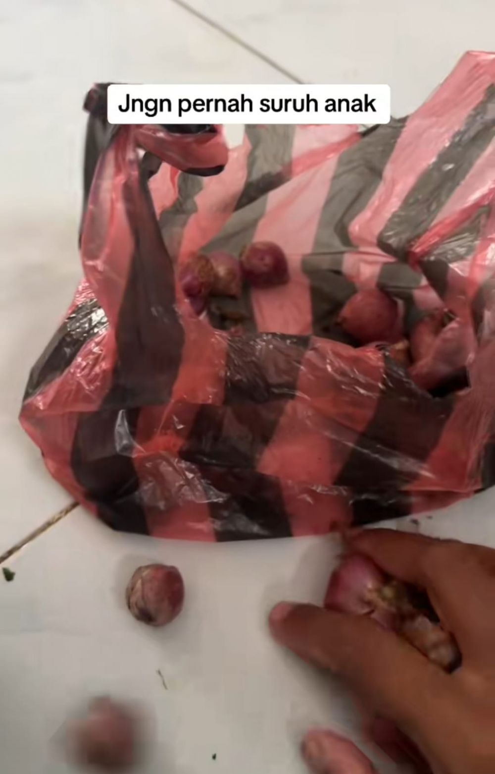 sayur di freezer © TikTok