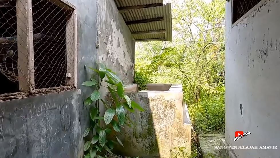 potret rumah narji dibiarkan terbengkalai © YouTube potret rumah narji dibiarkan terbengkalai © YouTube