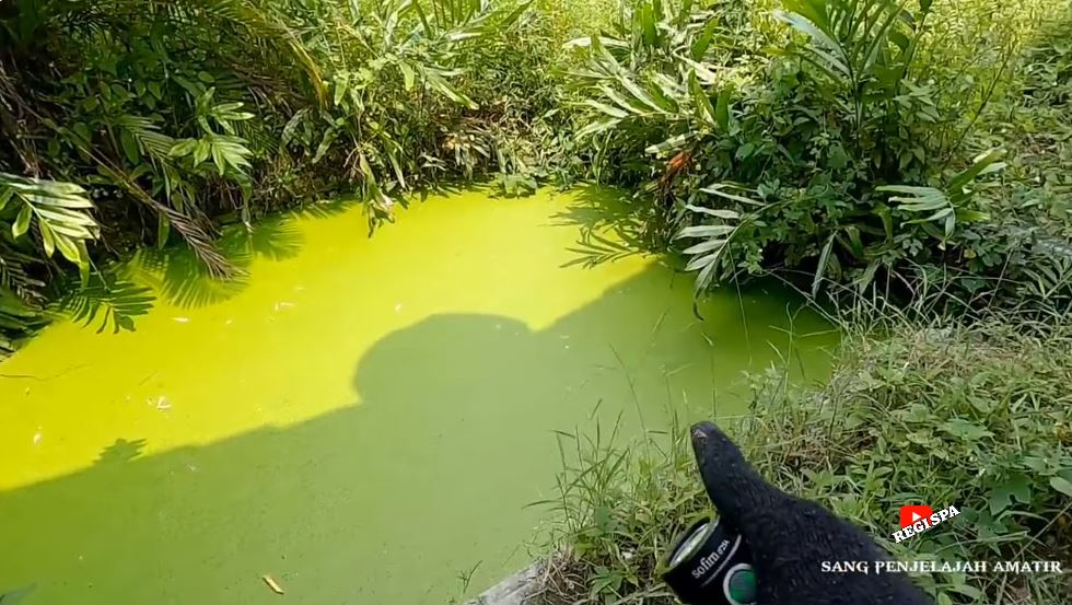 potret rumah narji dibiarkan terbengkalai © YouTube potret rumah narji dibiarkan terbengkalai © YouTube