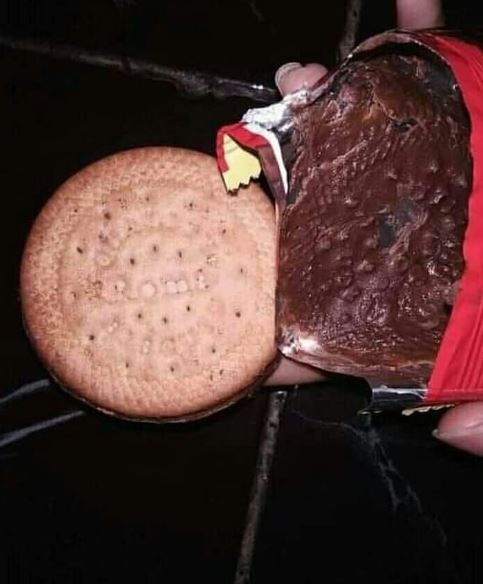 momen apes saat asyik menikmati hidangan Berbagai sumber