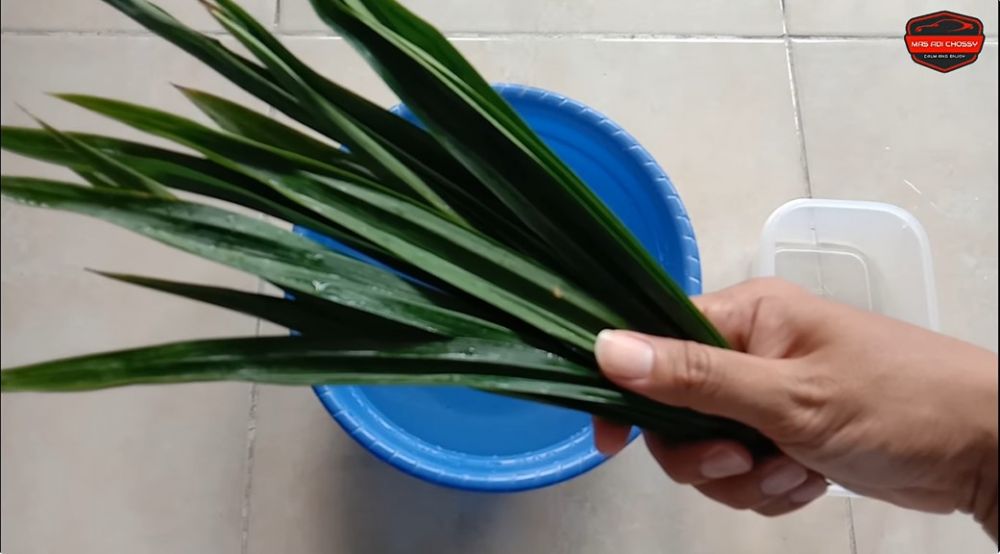 Trik bikin pengharum mobil pakai 1 bahan dapur modal Rp1.000, wangi segarnya tak bikin pusing