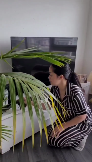 rumah gracia indri di belanda © Instagram rumah gracia indri di belanda © Instagram