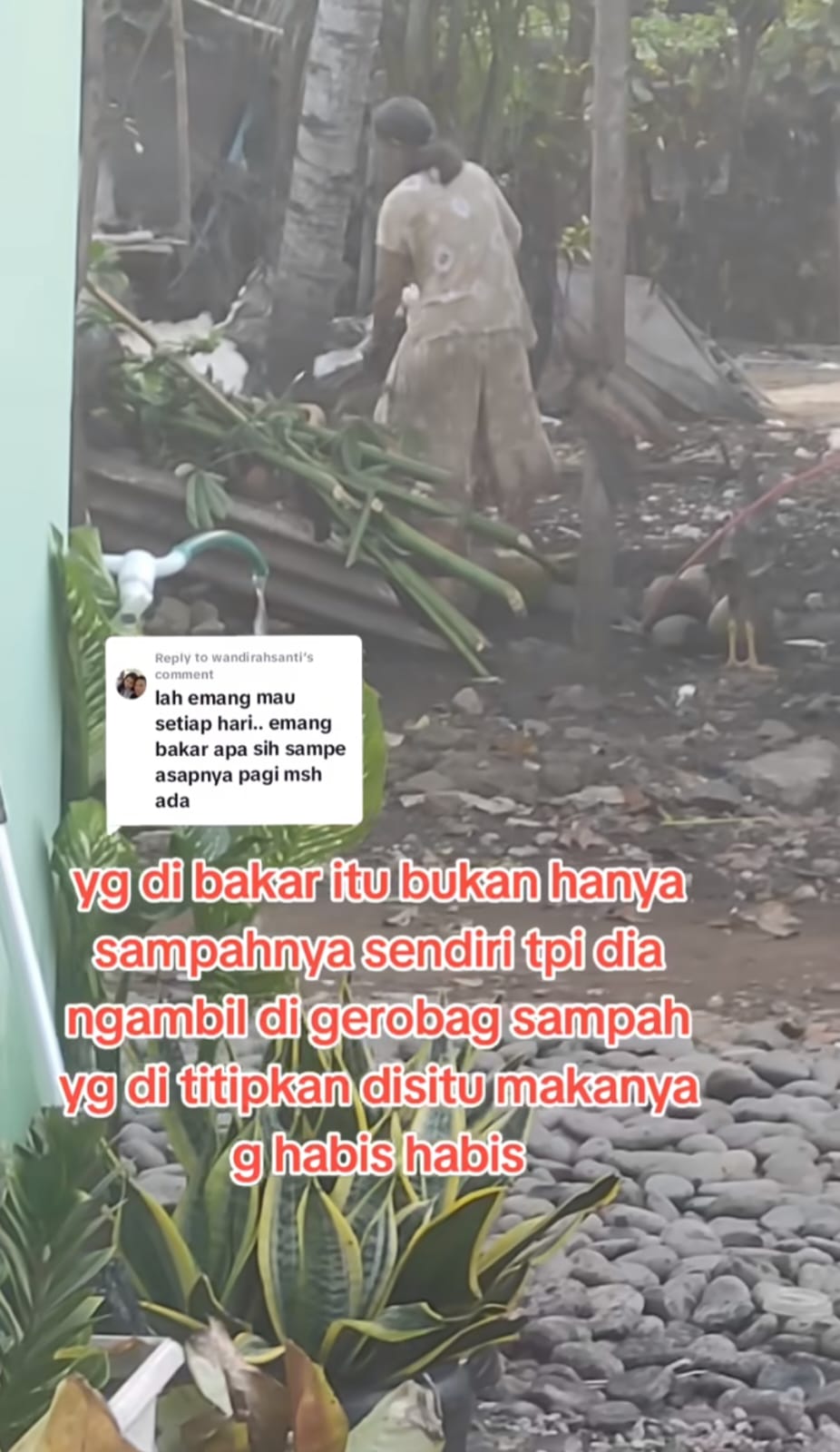 tetangga bakar sampah © TikTok