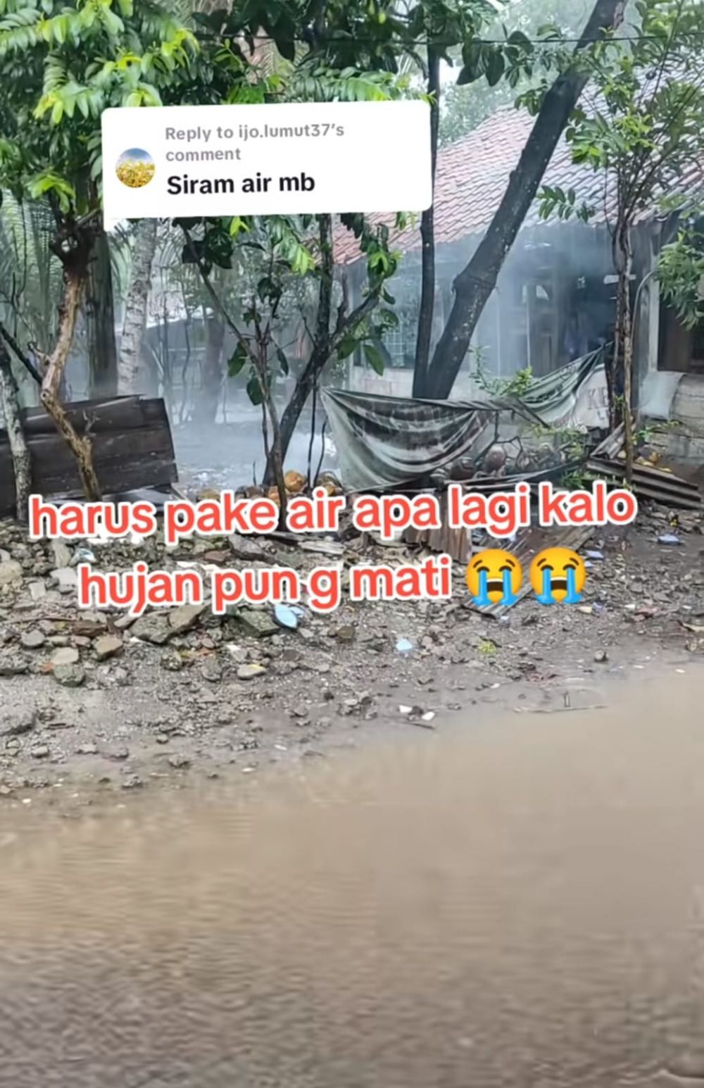 tetangga bakar sampah © TikTok
